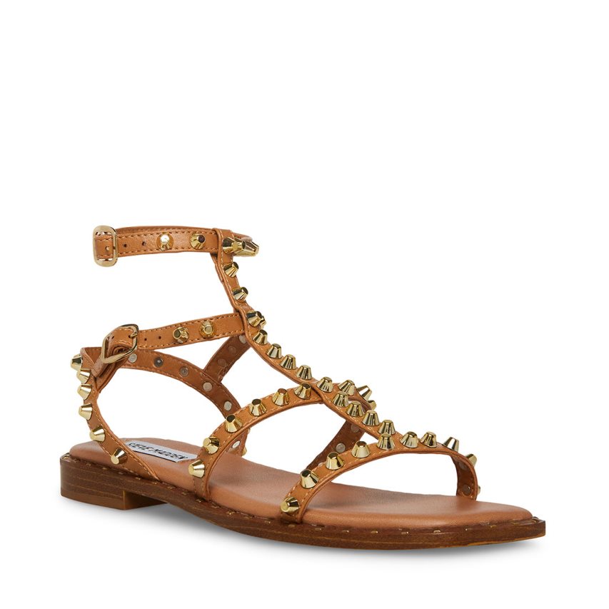 Brown Steve Madden Sunnie Women's Flat Sandals | PH 7524WXL